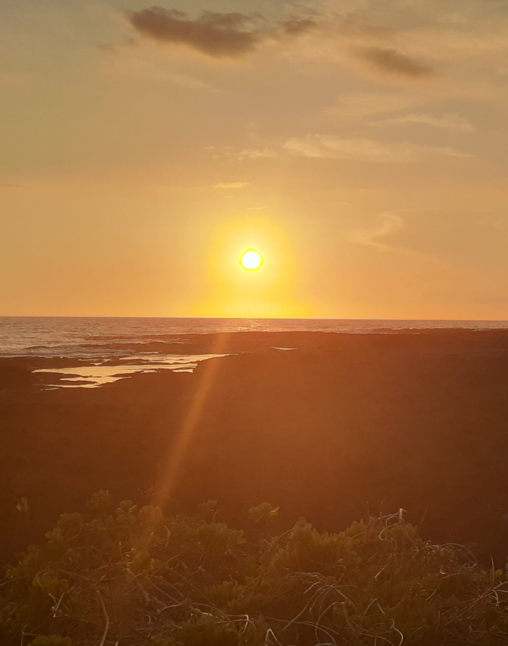sunset